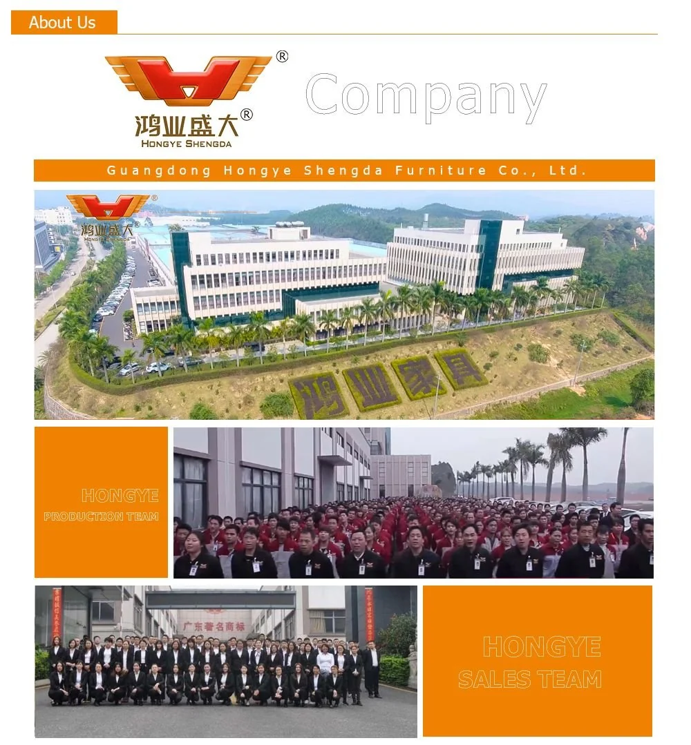 Planta de producción de Hongye Furniture Group (HYMUEBLE) en Guangdong y equipo comercial bilingüe